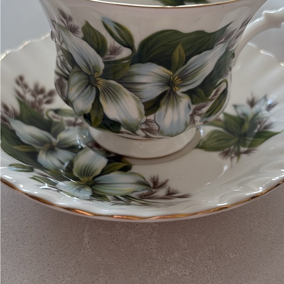 Royal Albert Teacup and Saucer Set - Picture 2 of 8